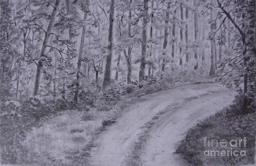 900x582 Trail In The Woods Drawing By Geeta Balu