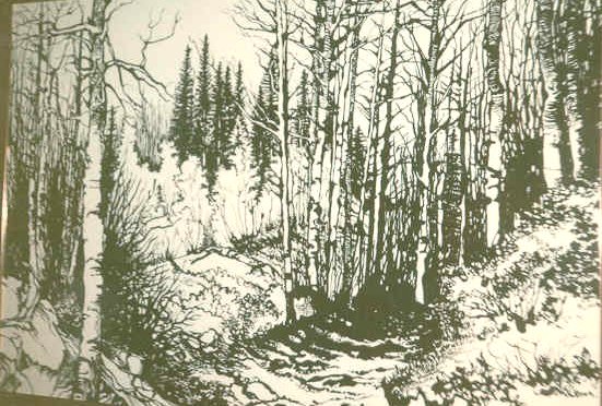 551x372 Drawings Prints