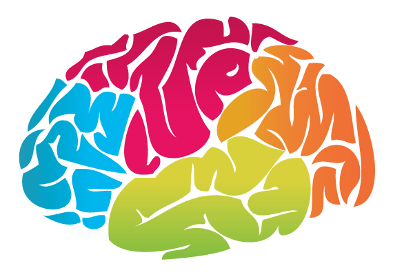 570x402 Brain Colour Drawing Transparent Png