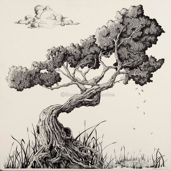 570x570 Japanese Bonsai Tree Drawing