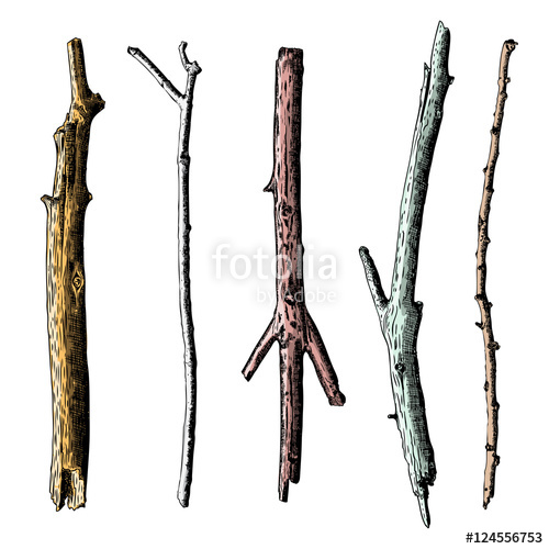 500x500 Set Of Ink Drawing And Painted Wood Twigs, Isolated Watercolor