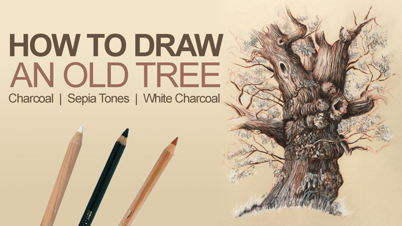800x450 How To Draw Trees
