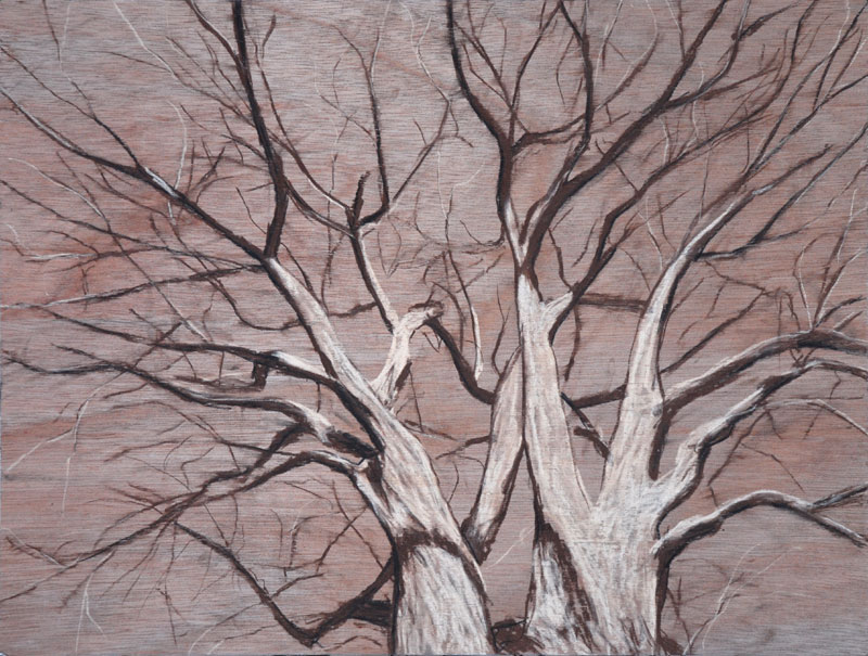 800x605 Braindeadaesthetic