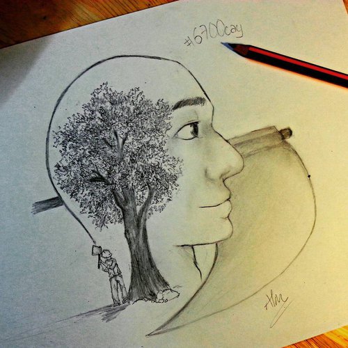 500x500 Cut Down Trees