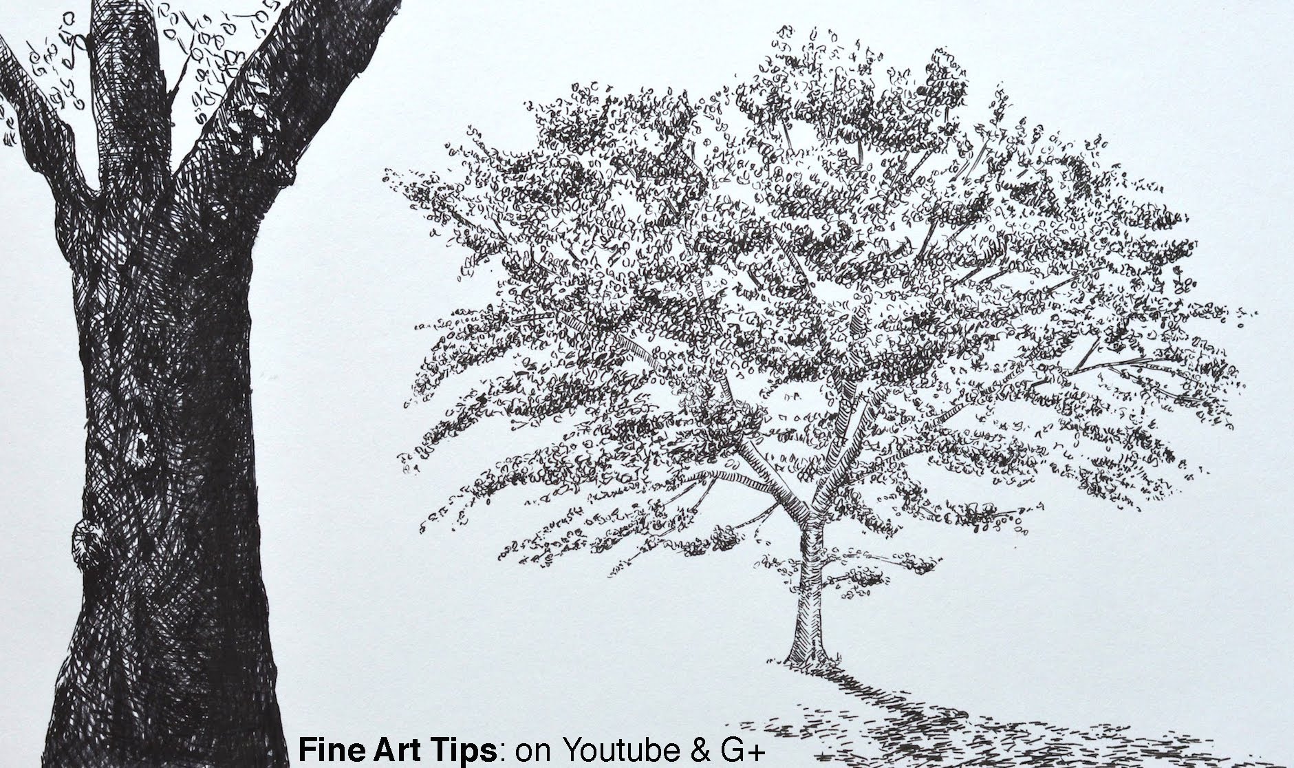 1881x1116 How To Draw A Tree With Brush Pens