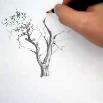 341x341 Comic Book Video Tutorials How To Draw Trees