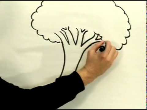 480x360 How To Draw A Cartoon Tree Cartoon