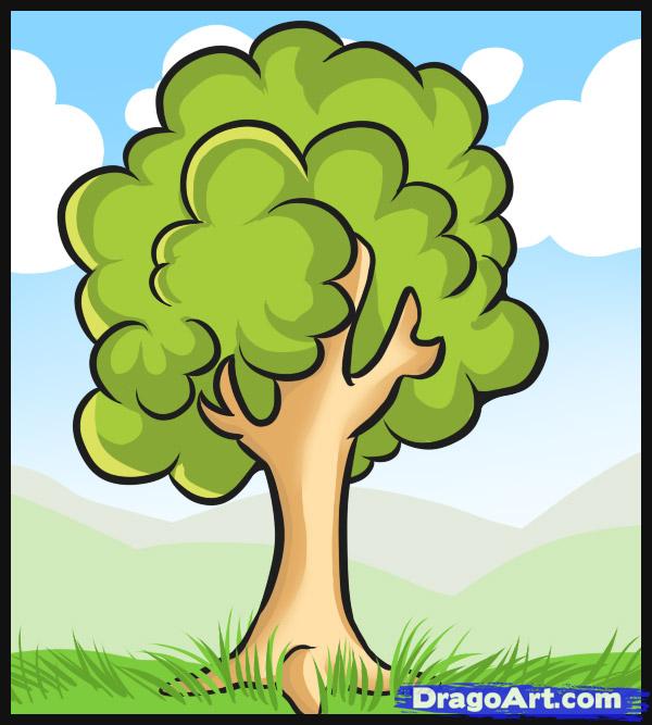 600x667 How To Draw A Simple Tree Art Drawing Trees, Draw