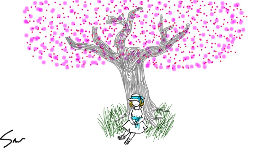 861x484 Cherry Blossom Tree