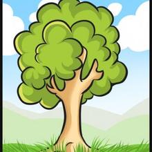 220x220 How To Draw How To Draw A Simple Tree