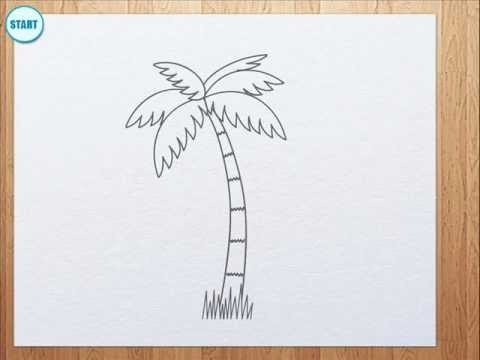 480x360 How To Draw Palm Tree For Kids