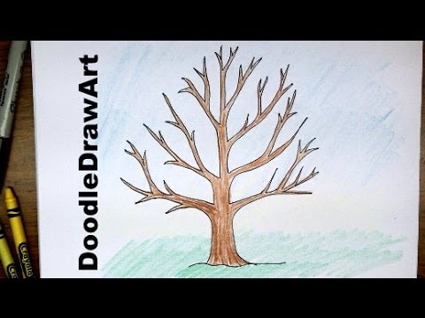 480x360 How To Draw A Tree Without Leaves