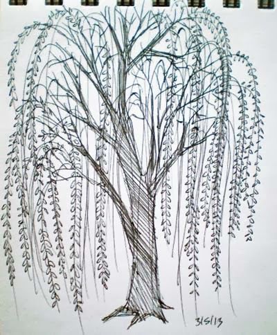 400x484 Willow tree drawing Go Back Gt Pix For Gt Simple Willow Tree