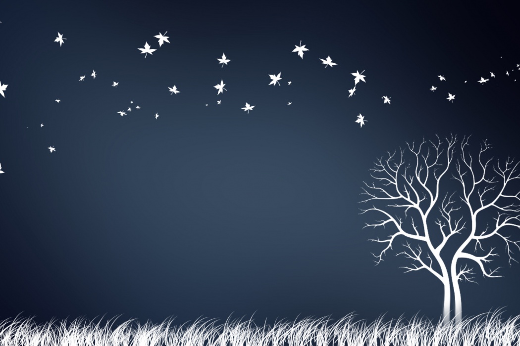 1050x700 Autumn Tree Drawing Wallpaper Best Hd Wallpapers