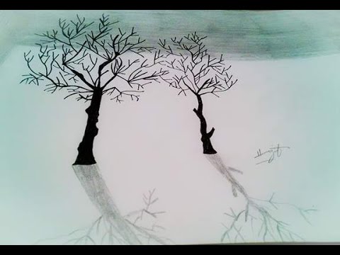 480x360 How To Draw 3d Old Tree Without Leaves