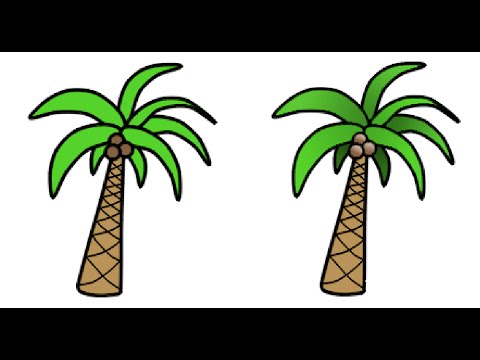 480x360 How To Draw Palm Tree For Kids