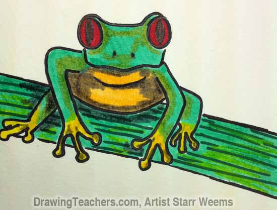 550x418 To Draw A Tree Frog