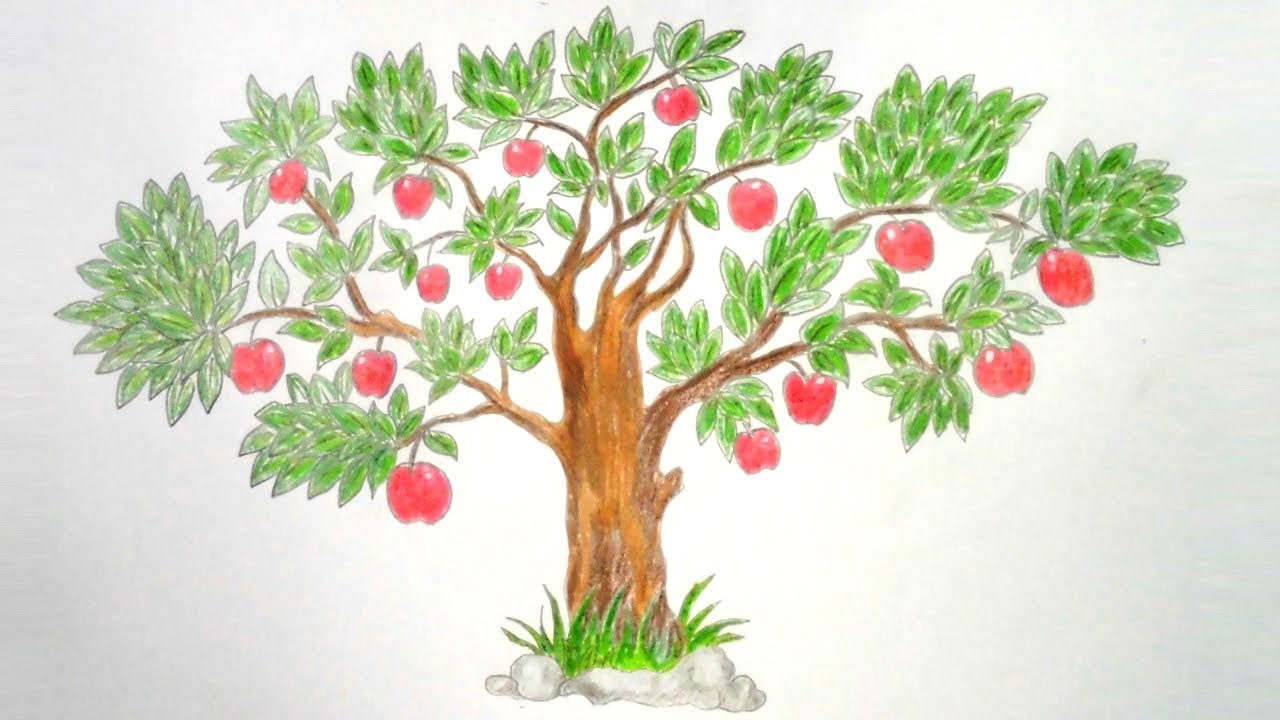 1280x720 How To Draw Apple Tree Step By Step Very Easy
