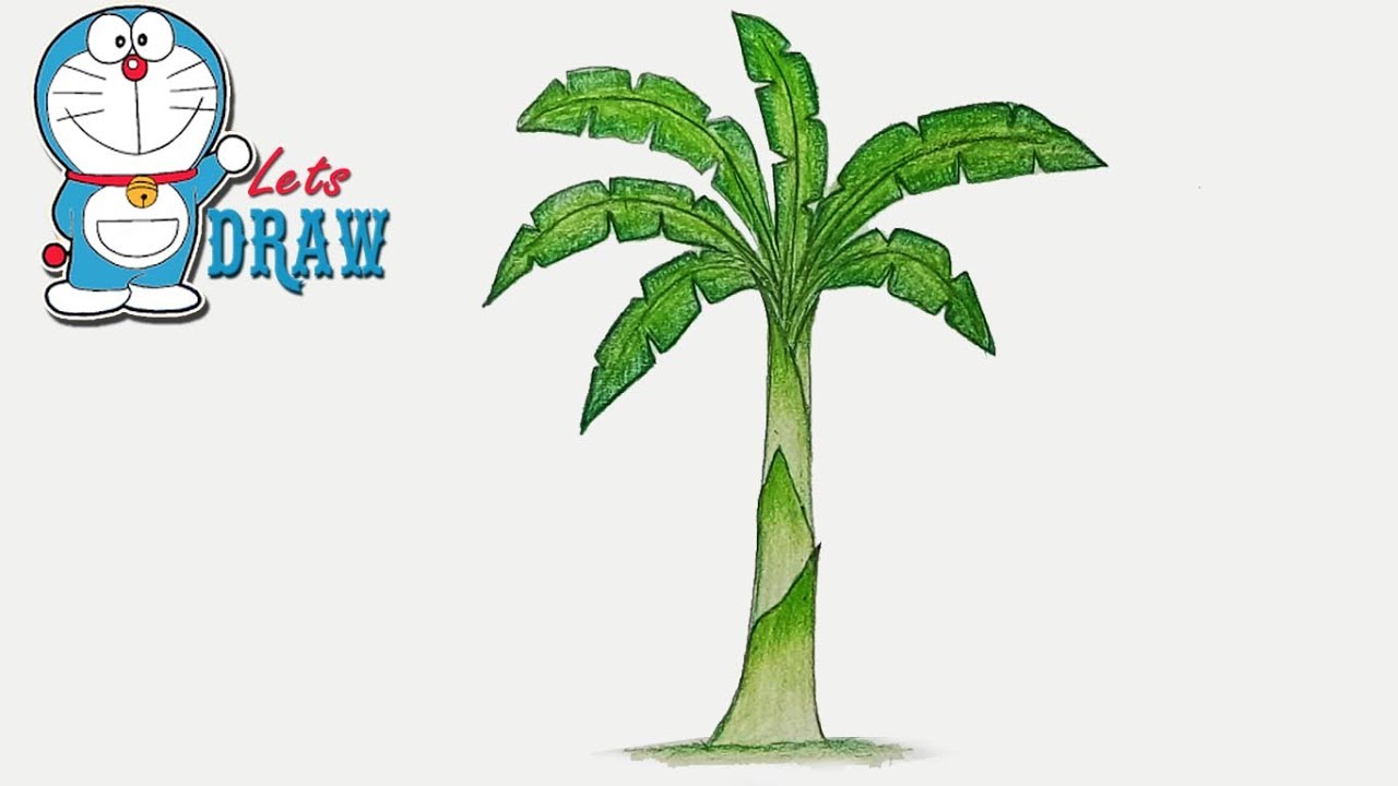 1280x720 How To Draw Banana Tree Step By Step (Very Easy)
