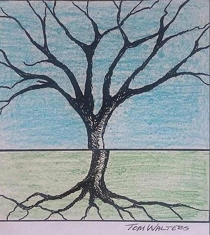804x900 Tree In Winter Drawing By Thomas Walters