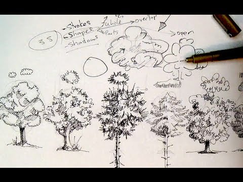 480x360 Pen Amp Ink Drawing Tutorials How To Draw Trees