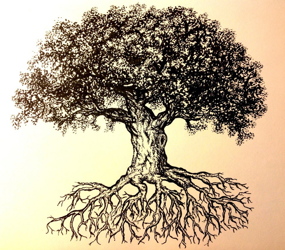 960x842 Tree Ink Drawing My Artwork Lkb Drawings, Ink