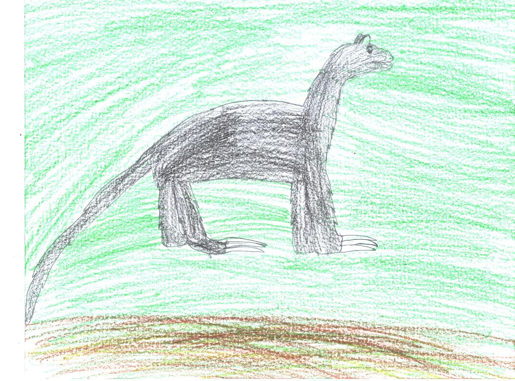 1725x1275 Villagewiki Tree Kangaroo