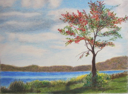 450x331 Little Landscape Drawing