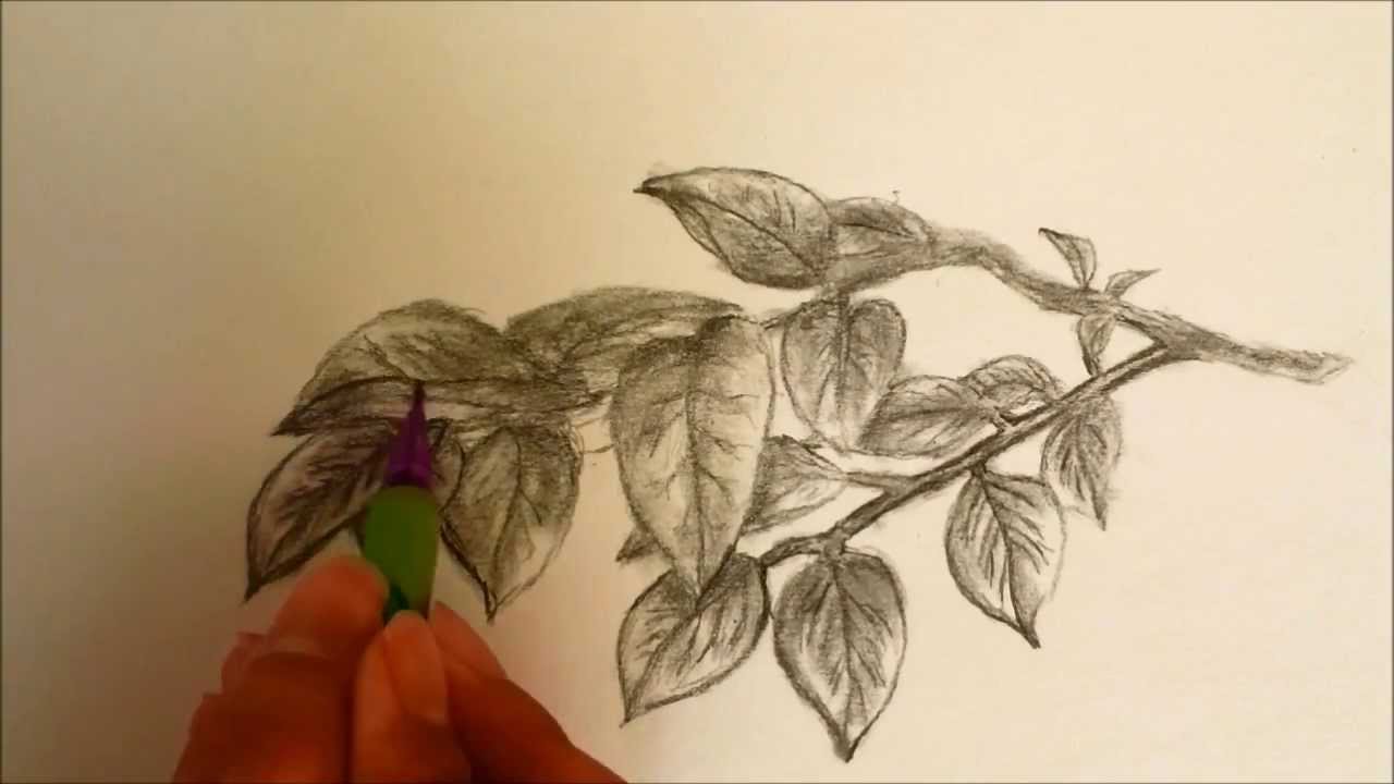 1280x720 How To Draw Leaves
