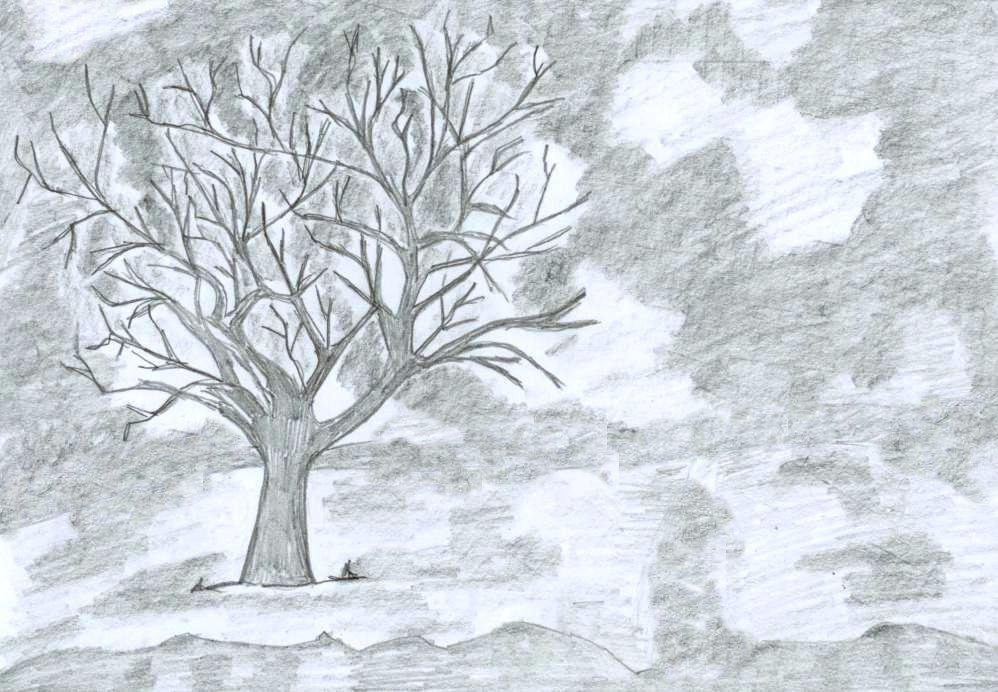 Tree No Leaves Drawing at GetDrawings | Free download