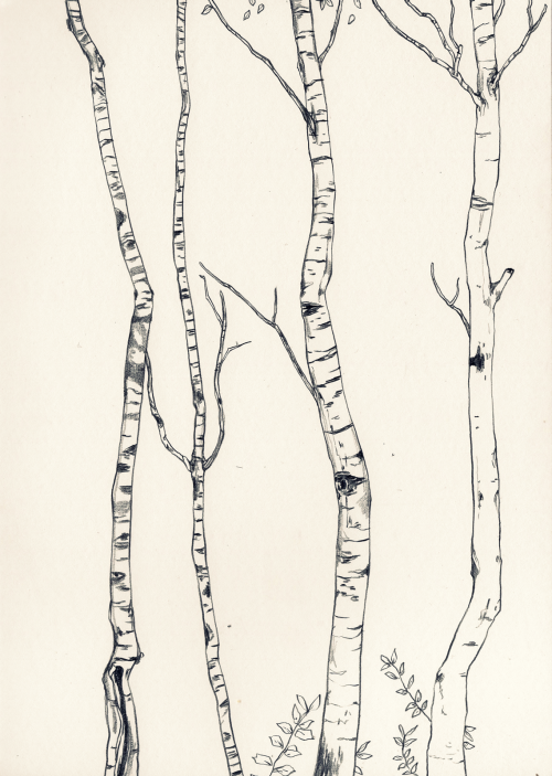 500x703 Tree Pencil Drawing Tumblr