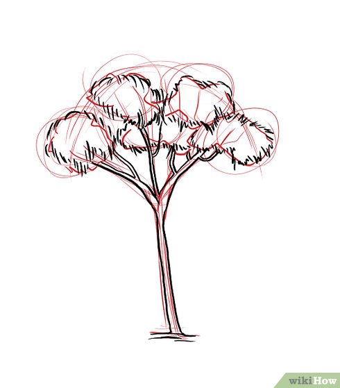 490x559 How To Draw A Gum Tree 8 Steps (With Pictures)