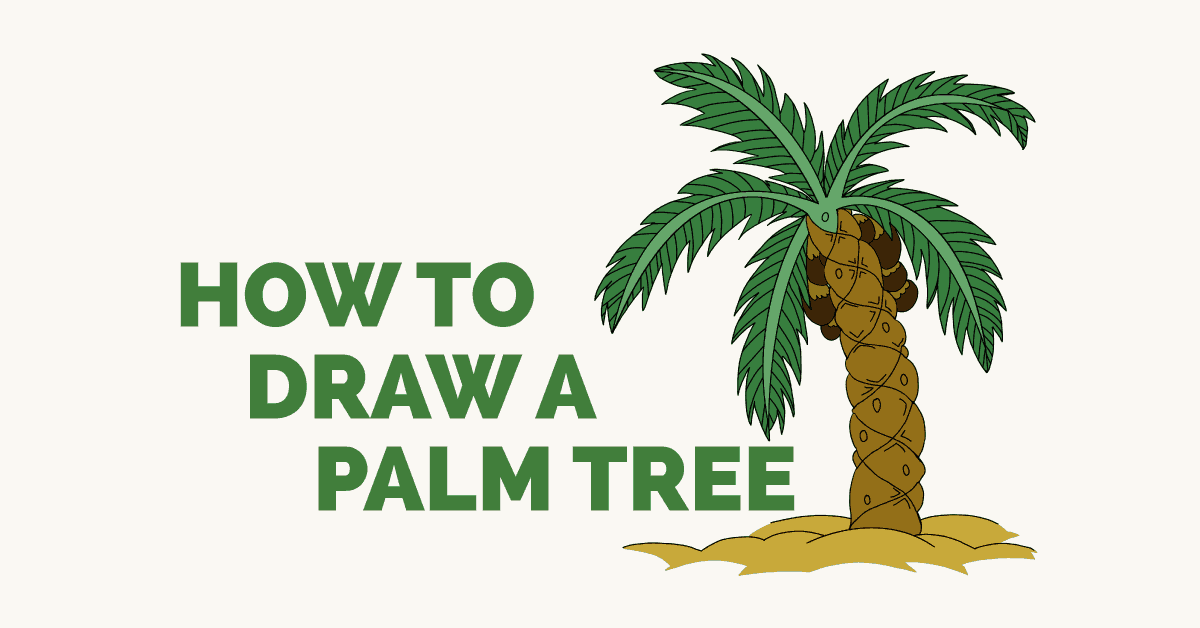 1200x628 How To Draw A Palm Tree Easy Drawing Guides