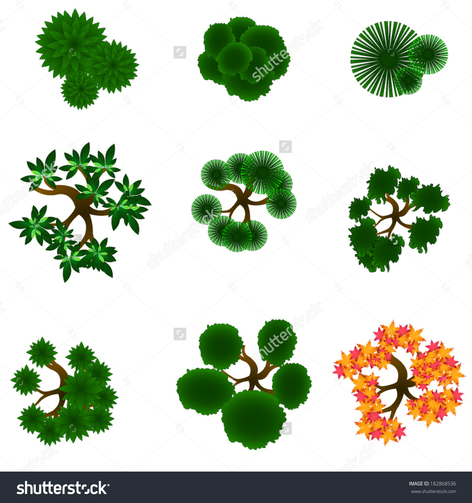 1500x1600 Ground Plan Stock Photos Images Pictures Shutterstock Trees Item