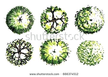 450x320 Landscape Tree Plan Drawing Of A Naturalistic Style Planting Plan