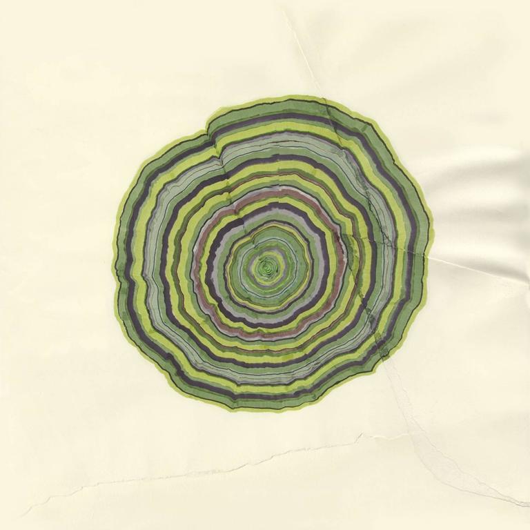 768x768 Steven L Anderson