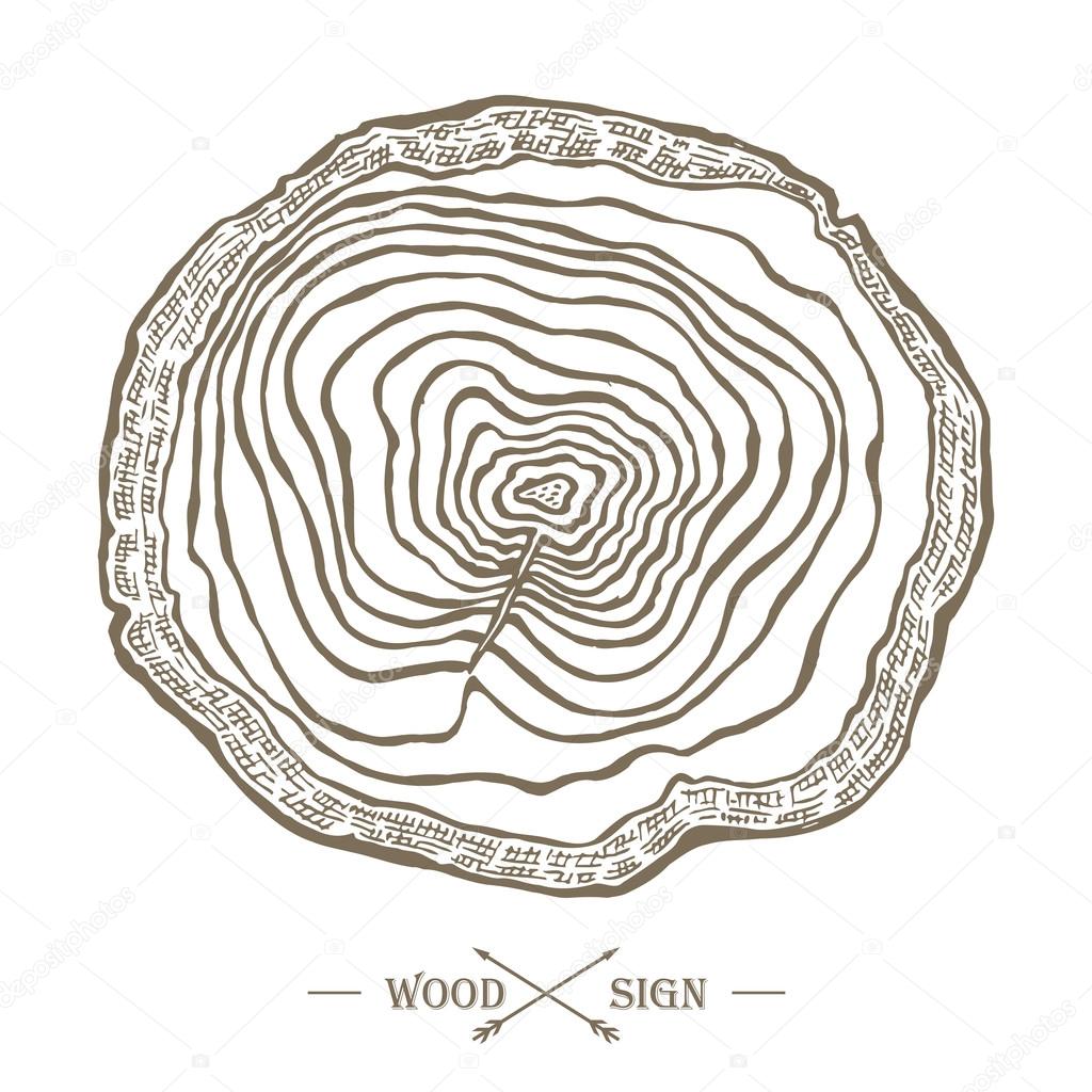 Tree Ring Drawing at GetDrawings | Free download