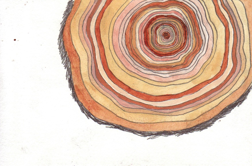 878x579 Tree Ring Postcards Jessica Fuentes