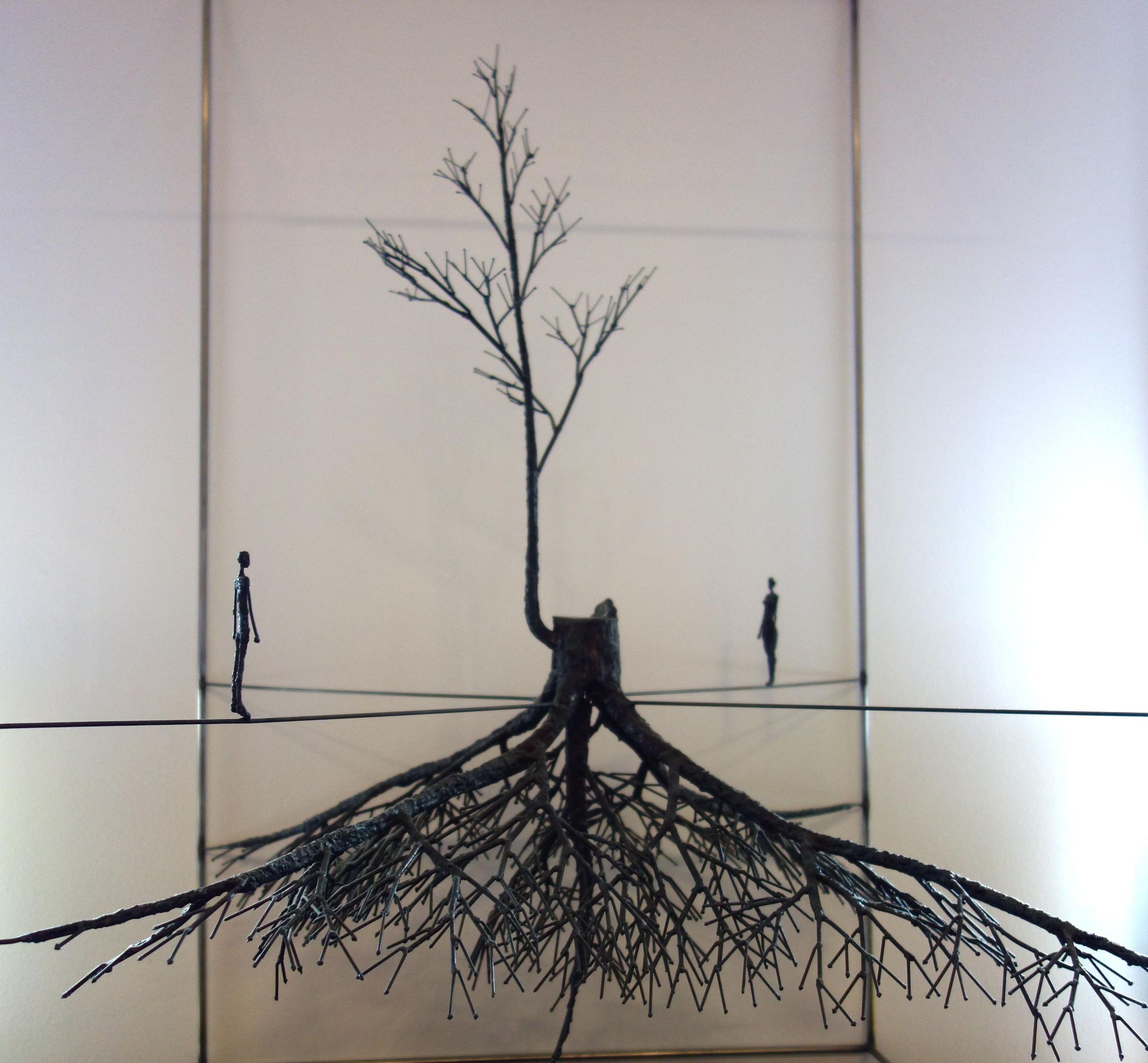 2400x2222 Scientists Peek Into The Hidden World Of Tree Roots Kuow News