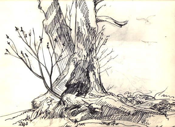 576x419 Mhsartgallerymac