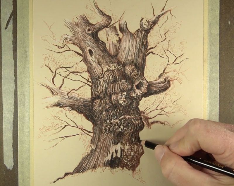 800x635 Adding Shadows To A Tree Dark Shadows Drawing