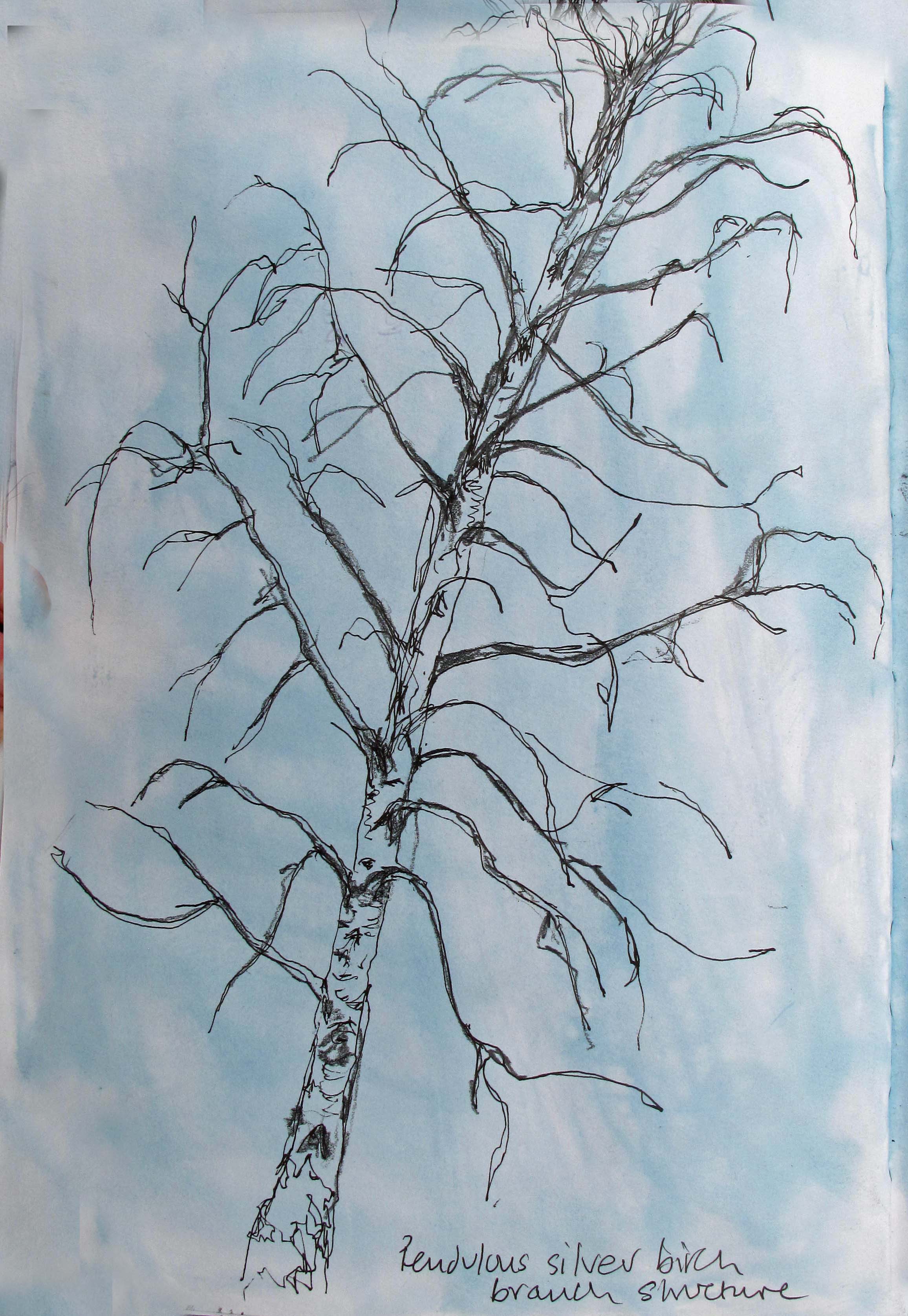 2312x3349 Project Drawing Trees