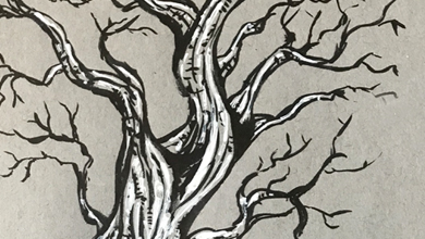 390x220 Sketches Cartoons