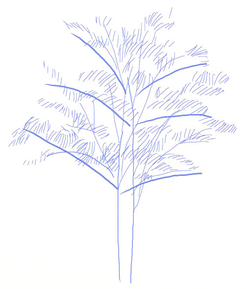 500x588 How To Draw A Tree