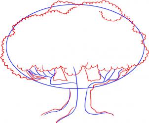 302x249 How To Draw How To Draw An Oak Tree