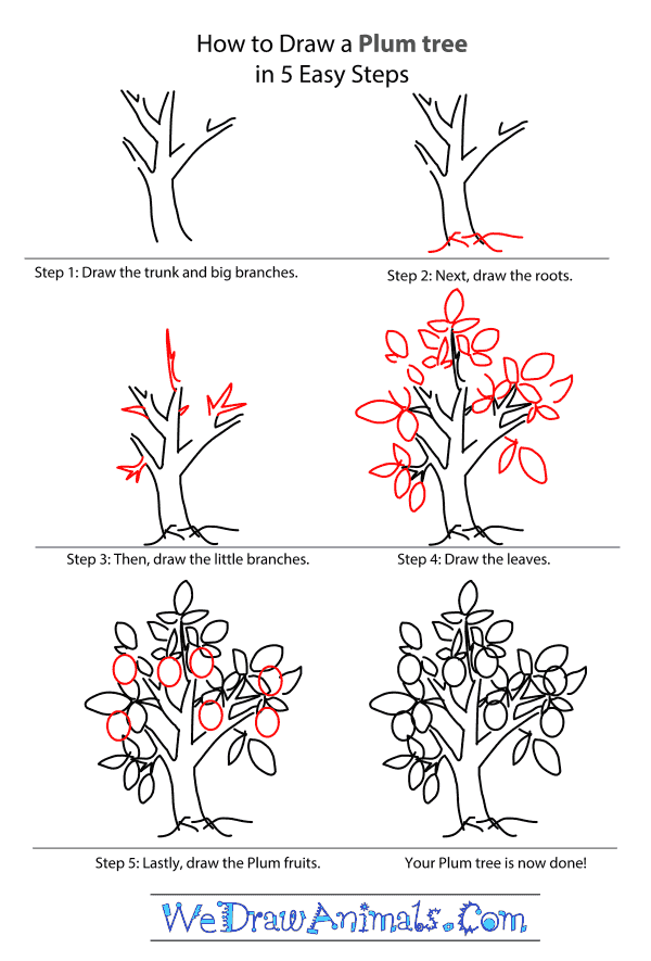 600x885 Plum Tree Tutorial.png