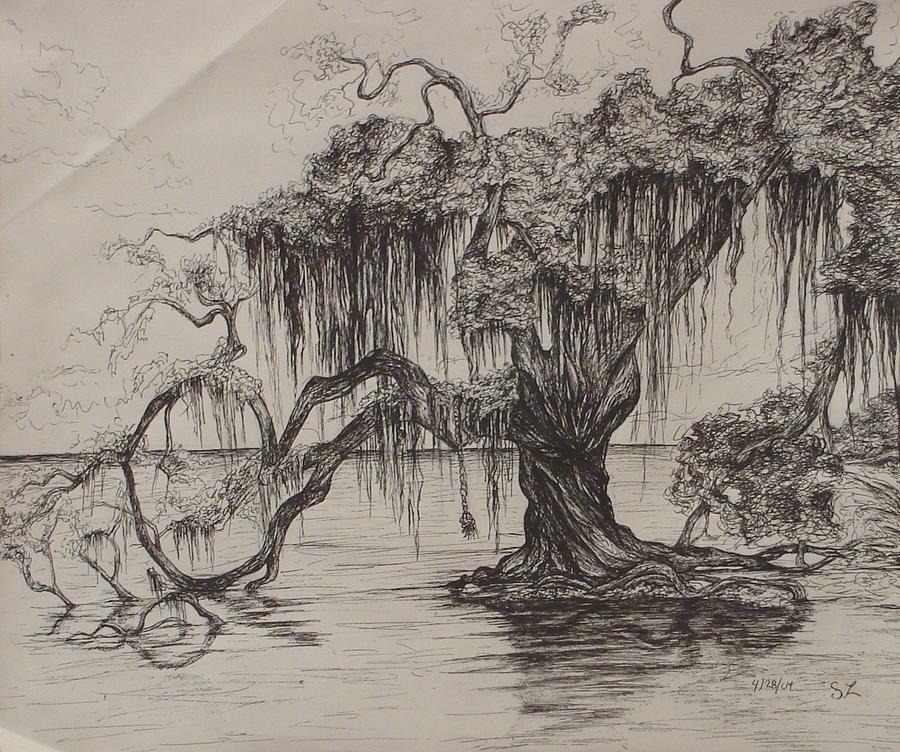 900x752 Rope Swing Drawing By Sarah Lonthier