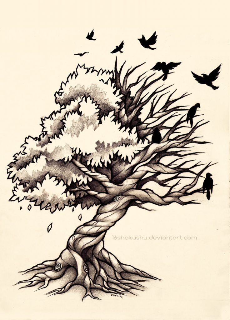 736x1024 This Is Tree Of Life Tattoo Drawing Photo 2 Tattoo