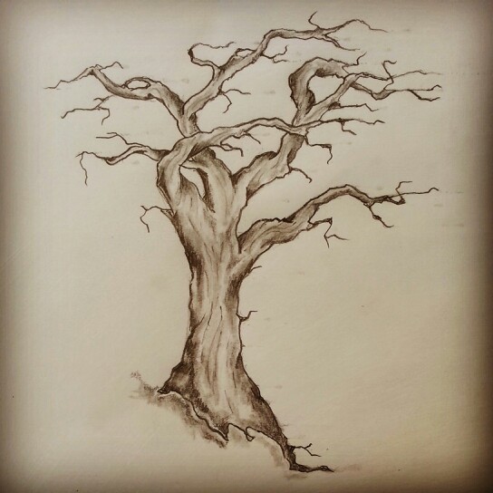 544x544 Tree Tattoo Sketch By