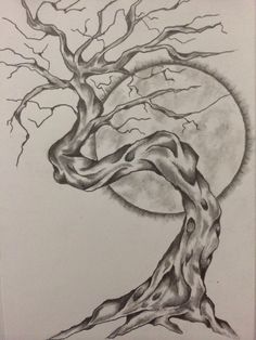 236x314 Wind Blown Cedar Tree Drawings